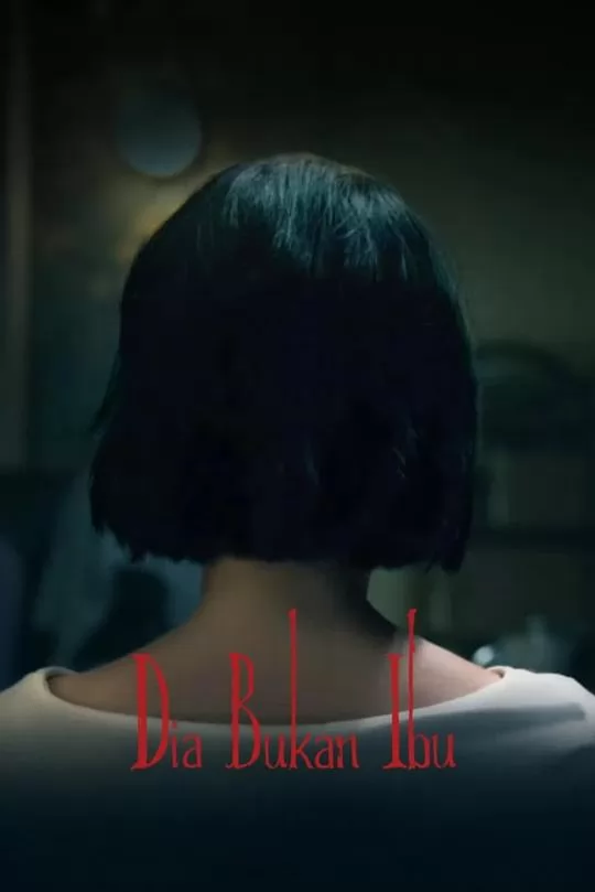 她不是我妈妈