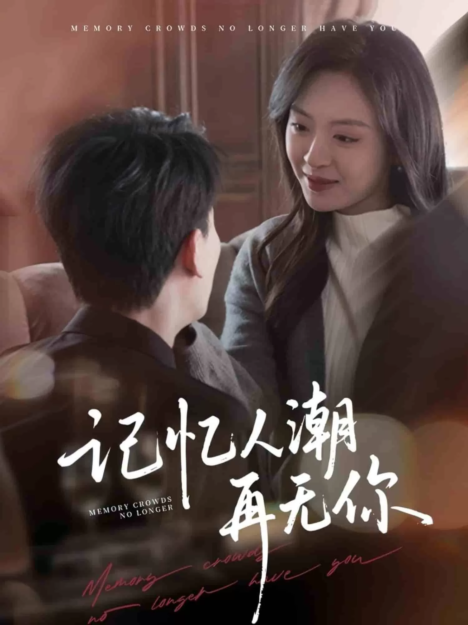 记忆人潮再无你